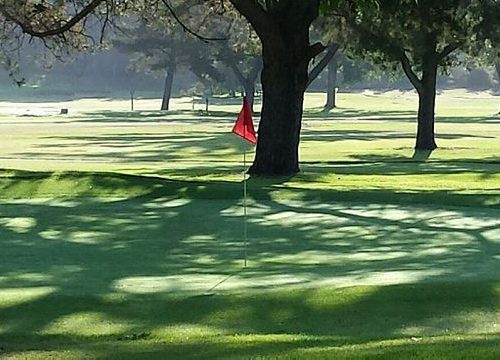 Sinaloa Feature 500x360